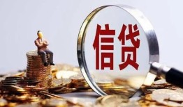 成都上门个人小额贷款-成都上门私借户不考察-成都上门民间借贷无抵押