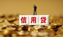 成都上门哪有个人借贷-成都上门小额贷款公司-成都上门私借空放免费上门