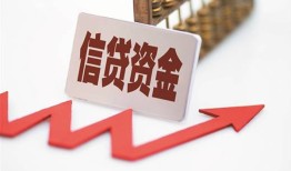 成都上门身份证贷款平台-成都上门贷款只要身份证贷款-成都上门空放贷款