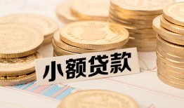 成都上门身份证贷款平台-成都上门私人借贷不查征信-成都上门空放借钱